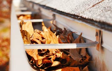 Westoe gutter cleaning companies
