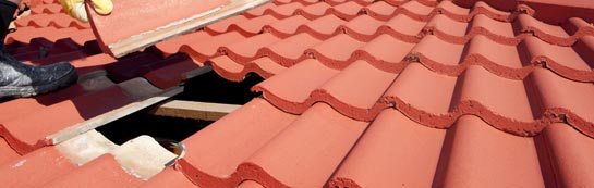 compare Westoe roof repair quotes