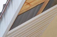rated Westoe soffit repair companies